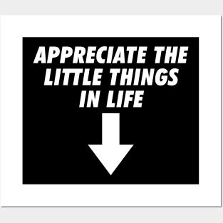 Appreciate the little things Posters and Art